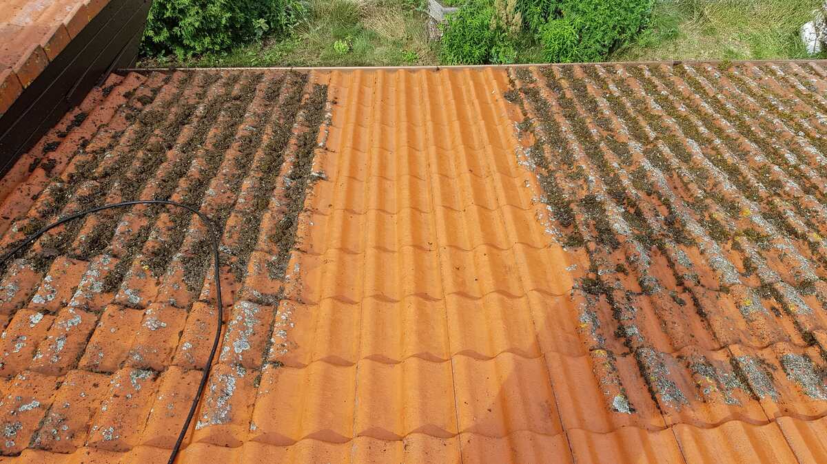 mycie dachów Dachbart