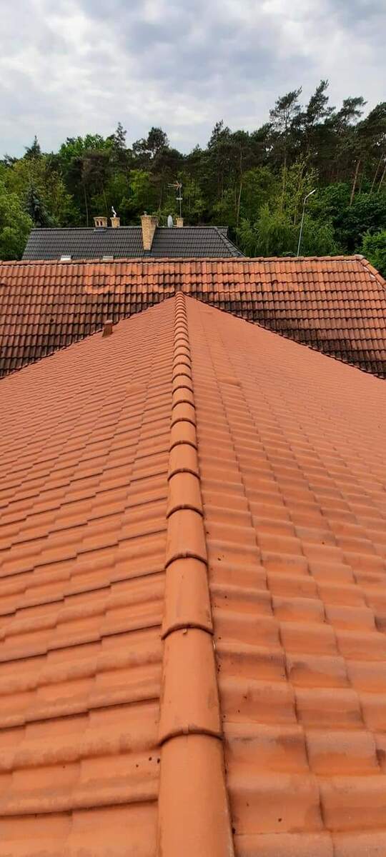 mycie dachów Dachbart